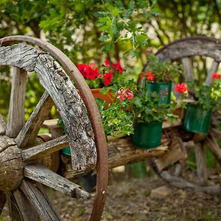 Villa Titti B&B Orciano di Pesaro 외부 사진