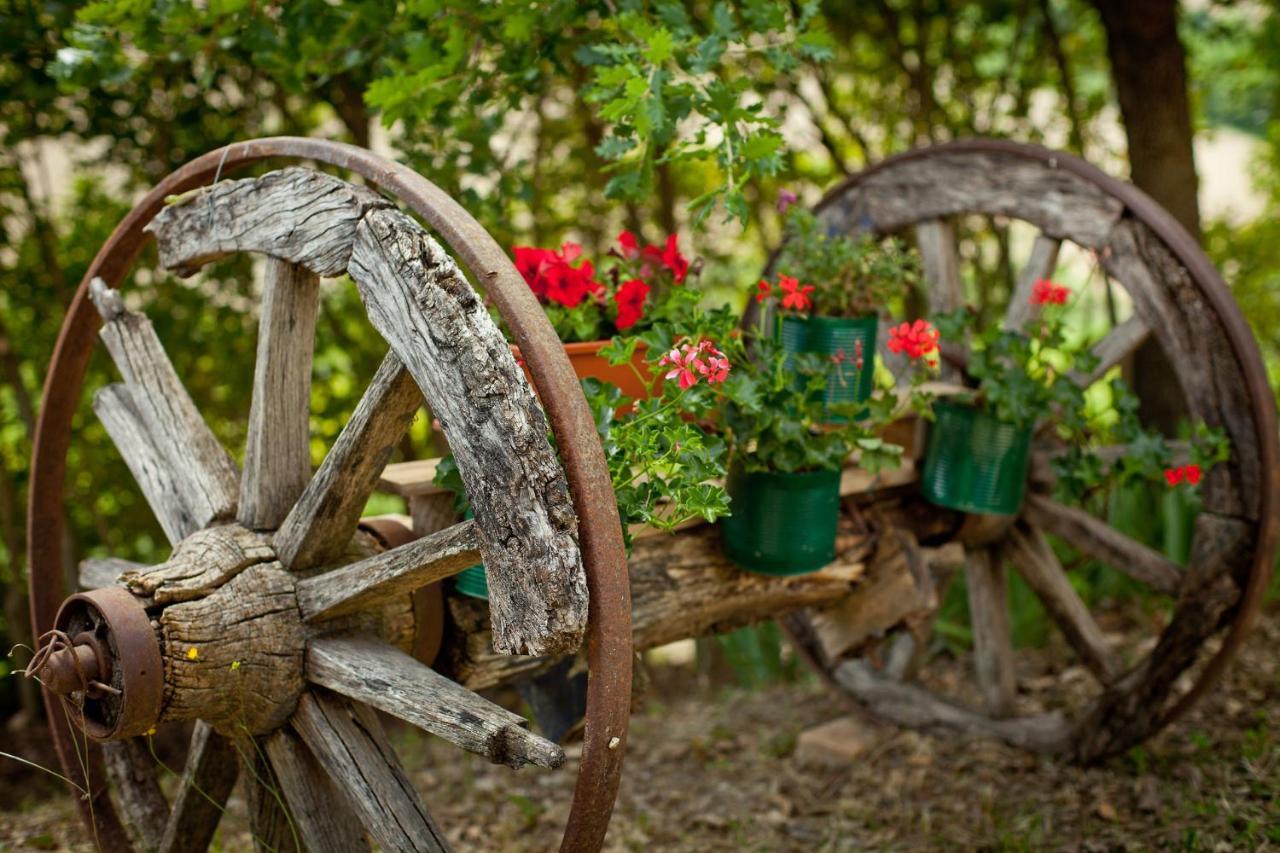 Villa Titti B&B Orciano di Pesaro 외부 사진