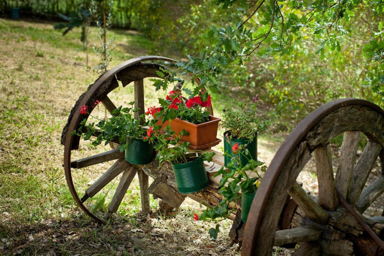 Villa Titti B&B Orciano di Pesaro 외부 사진